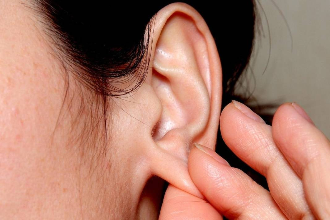 Kulak arkası neden peynir gibi kokar? - Resim: 11